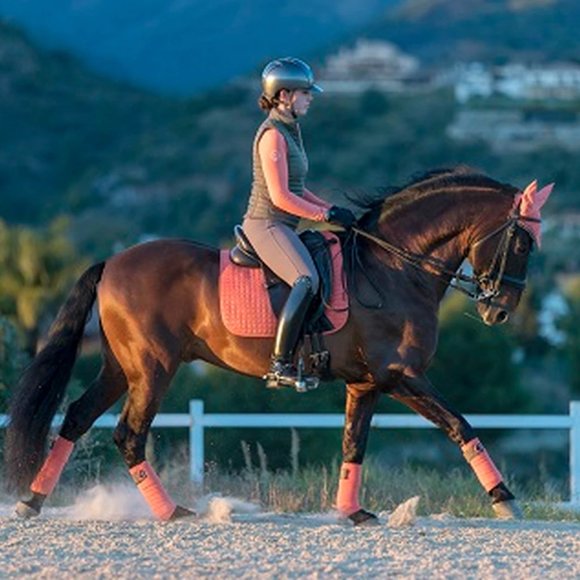 Other - Lemieux Polo Bandages Sorbet Small/Medium